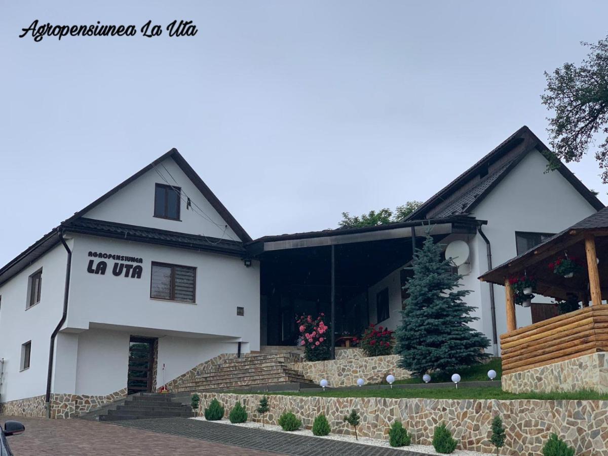 Agropensiunea La Uta Rebrisoara Exterior foto